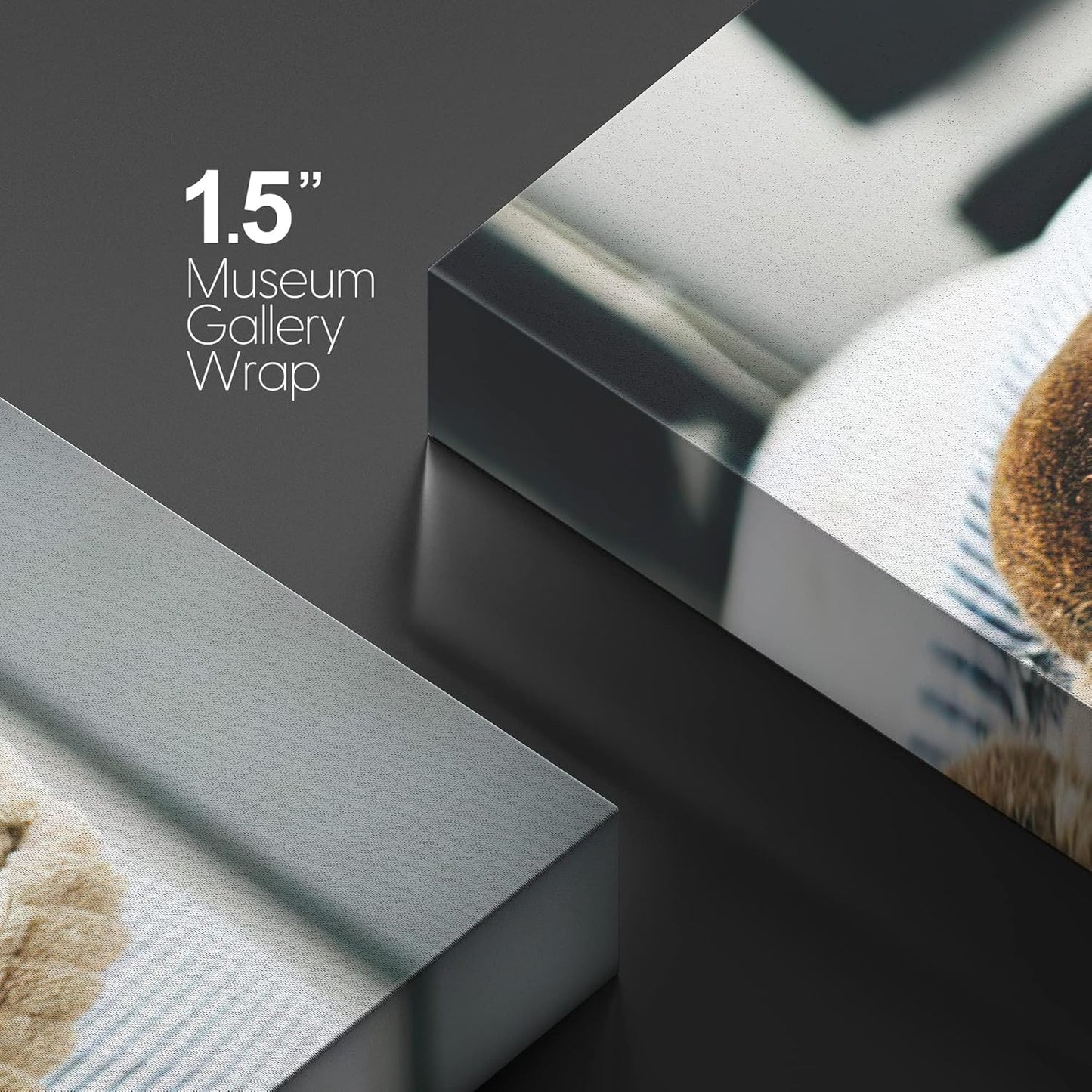 NWT Custom Canvas Prints with Your Photos for Pet/Animal, Personalized Canvas Pictures for Wall to Print - 16x20 inches