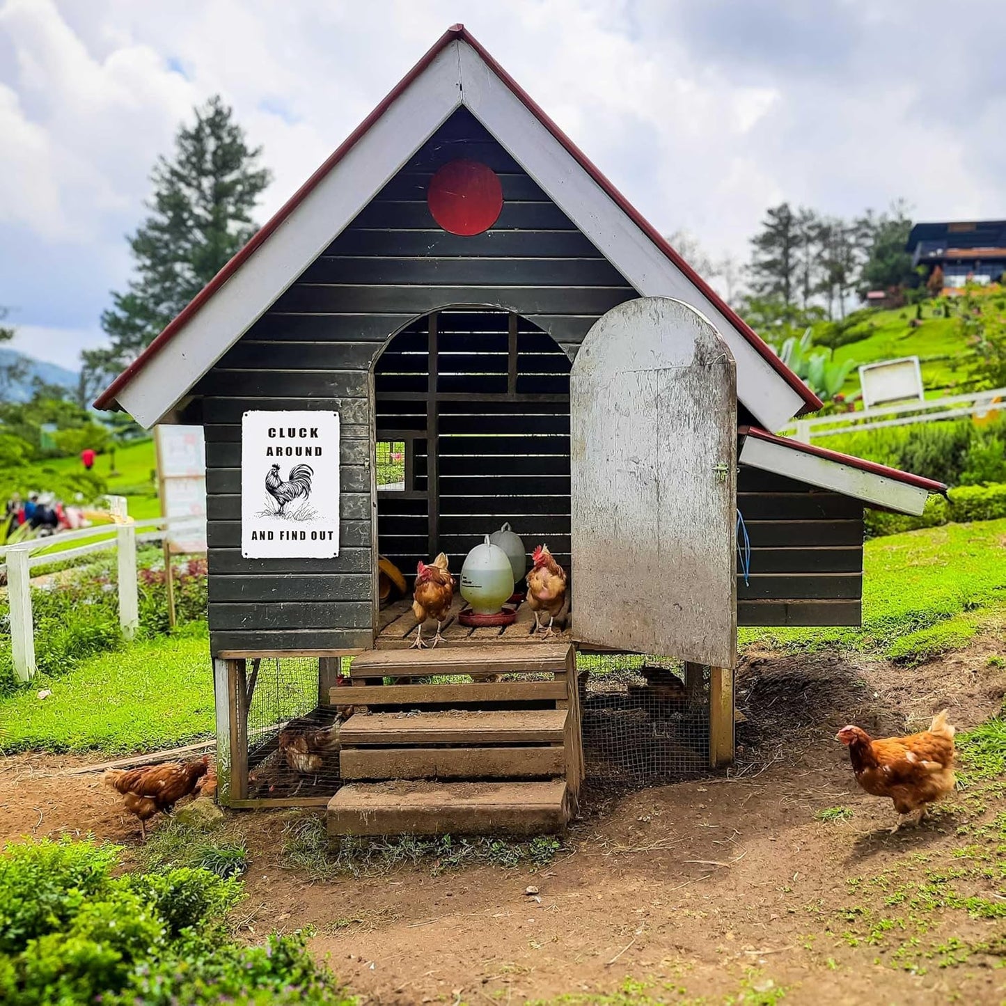 Chicken Coop Accessories Metal Signs,Funny Chickens Tin Signs - Chicken Decor Farmhouse Wall Decor,Chickens Gifts Rustic Farm House Decorations for Home/kitchen/Outdoor Garden